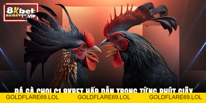 Gà Chọi C1 8KBET - Đấu Trường Danh Giá, Mãn Nhãn Khó Cưỡng - Goldflare69