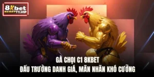 8KBET green - Đập Hũ Bú Vàng - FreeCode+288k - Goldflare69