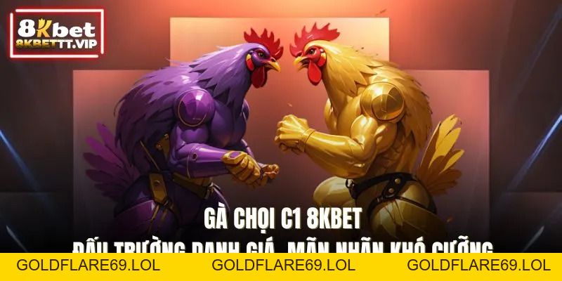 Gà Chọi C1 8KBET - Đấu Trường Danh Giá, Mãn Nhãn Khó Cưỡng - Goldflare69