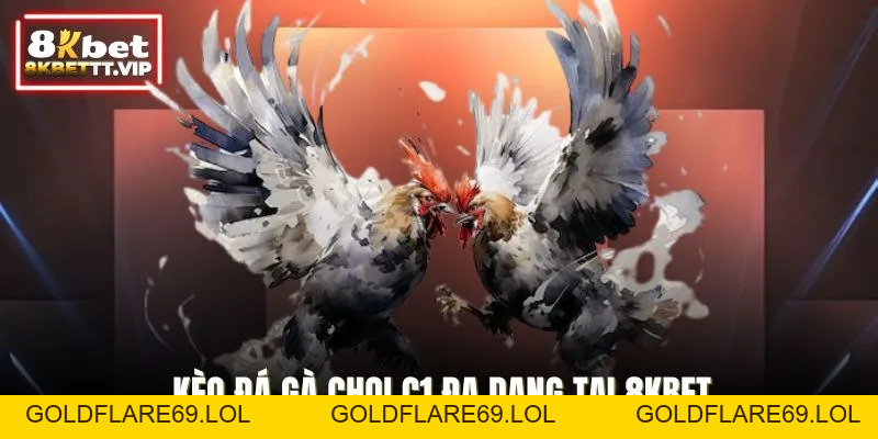 Gà Chọi C1 8KBET - Đấu Trường Danh Giá, Mãn Nhãn Khó Cưỡng - Goldflare69